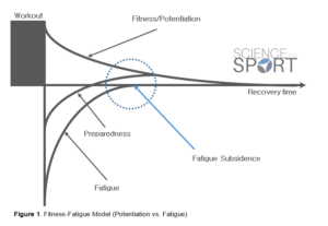 What is Post Activation Potentiation?